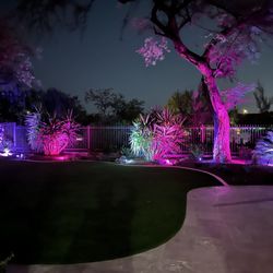 C&G Turf Pros - Nighttime backyard
