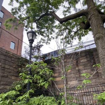 Squibb Park - Looking up - Parks Near Me - Brooklyn, New York