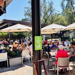 HUNGRY’S - RICE VILLAGE - Updated December 2025 - 1381 Photos & 1160 ...