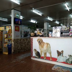 Fil-Chinese Group of Animal Clinic - Lobby Area