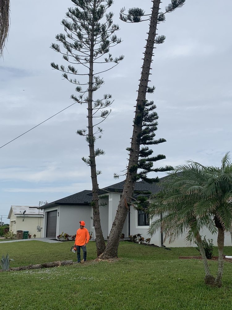 Slide of CHDO by Sunrise City