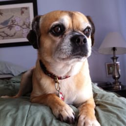 What a face!