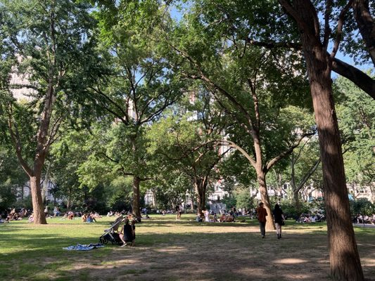 Madison Square Park by null