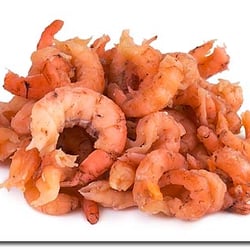Fischspektakel - NORDSEEKRABBEN