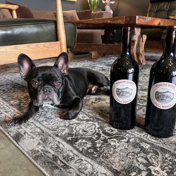 Rancho Maria Wines - Theodore and Magnums - Wineries Near Me - Geyserville , California