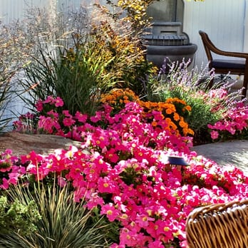 Nibbley's Cafe - Outdoor courtyard - Breakfast & Brunch Near Me - Klamath Falls, Oregon Nibbley's Cafe - Outdoor courtyard - Breakfast & Brunch Near Me - Klamath Falls, Oregon