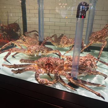 Water Grill - Bellevue - Live crab - Seafood Near Me - Bellevue, Washington