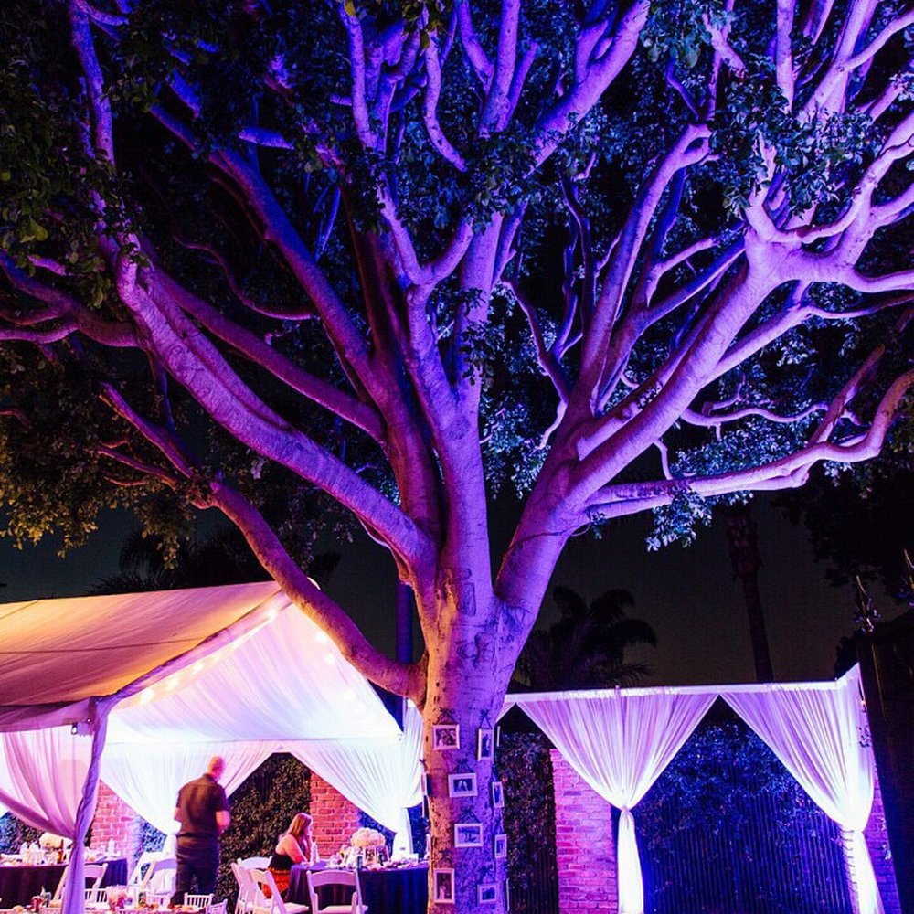 One Call Event Rentals - Up lighting was customizable to any color - Party Equipment Rentals Near Me One Call Event Rentals - Up lighting was customizable to any color - Party Equipment Rentals Near Me