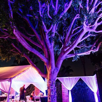 One Call Event Rentals - Up lighting was customizable to any color - Party Equipment Rentals Near Me One Call Event Rentals - Up lighting was customizable to any color - Party Equipment Rentals Near Me