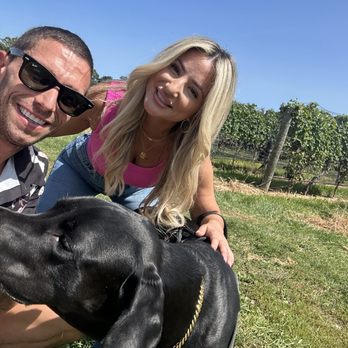 Jason's Vineyard - Trying to get a family photo - Wineries Near Me - Jamesport, New York Jason's Vineyard - Trying to get a family photo - Wineries Near Me - Jamesport, New York