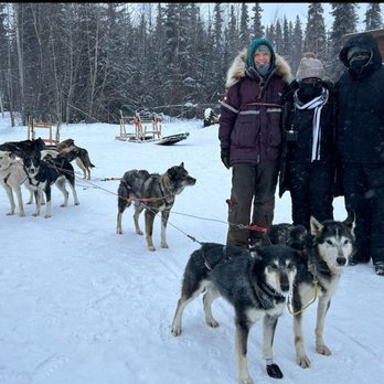 Trail Breaker Kennel - Sledding Near Me - Fairbanks, Alaska Trail Breaker Kennel - Sledding Near Me - Fairbanks, Alaska