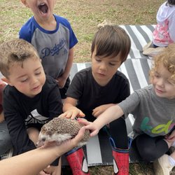 Kids Day Out at Life Church