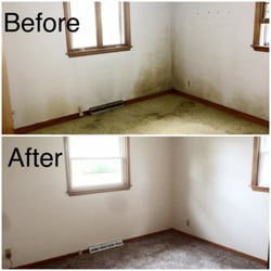 Illinois Home Solutions - This customer was preparing a home for sale, but it was overcome with mold. We performed the remediation and restored the home for sale.