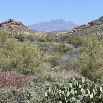 Apache Trail Tours - Tours Near Me - Apache Junction, Arizona