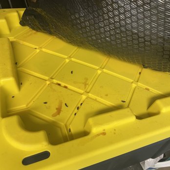 Extra Space Storage - rat feces - Self Storage Near Me - Daly City, California