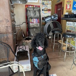 Pet friendly Pet friendly