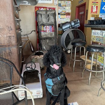 Raceway Bar and Grill - Pet friendly - Bars Near Me - Maricopa, Arizona Raceway Bar and Grill - Pet friendly - Bars Near Me - Maricopa, Arizona