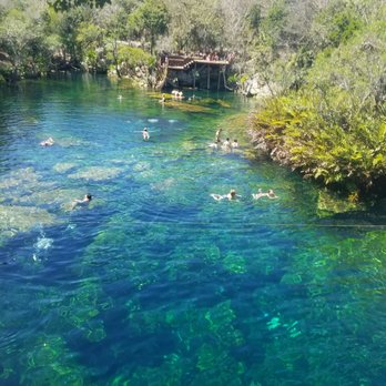 Cenote Jardín del Edén - Free Diving Near Me - Playa del Carmen, ROO