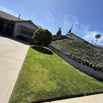 E-Lawn - Landscaping Near Me E-Lawn - Landscaping Near Me