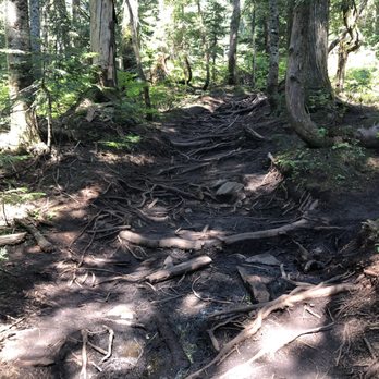 Grouse Mountain - Bcmc trail - Hiking Near Me - North Vancouver, British Columbia Grouse Mountain - Bcmc trail - Hiking Near Me - North Vancouver, British Columbia