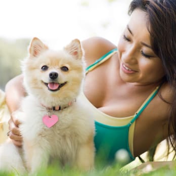 LuvFurBaby - Pet Services Near Me - Los Angeles, California LuvFurBaby - Pet Services Near Me - Los Angeles, California