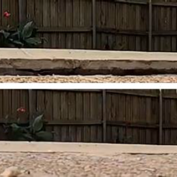 Slab Tex Stabilization - Pool deck before & after lifting with polyurethane foam. - Foundation Repair Near Me Slab Tex Stabilization - Pool deck before & after lifting with polyurethane foam. - Foundation Repair Near Me