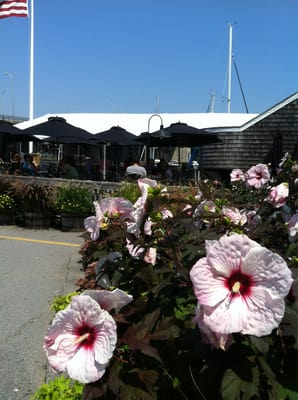 Michael's Harborside Restaurant & Bar by null