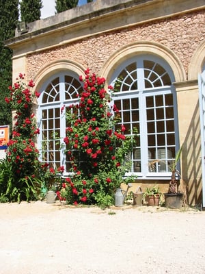Château De Flaugergues by null