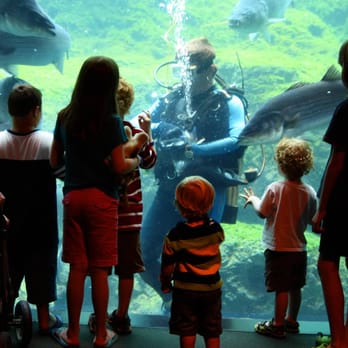 Flint RiverQuarium - Aquariums Near Me - Albany, Georgia