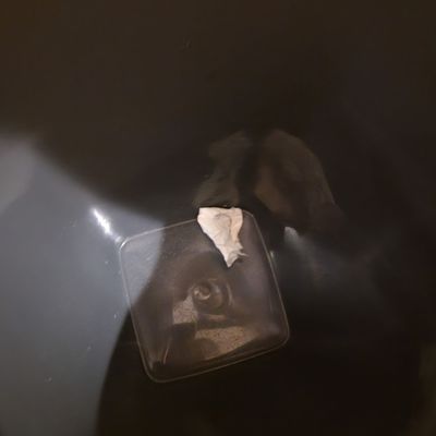 Crowne Plaza New Orleans French Qtr - Astor by null