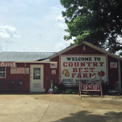 Country Best Farm