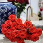 Flower Of The World Import