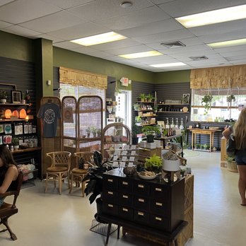 Botanical House - Coffee Roasteries Near Me - New Smyrna Beach, Florida