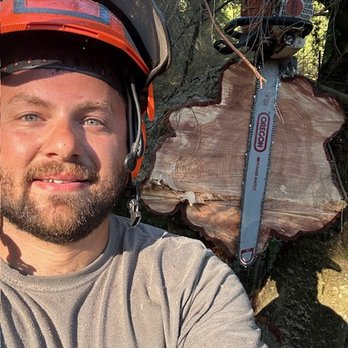 TreeWerx - Tree Services Near Me