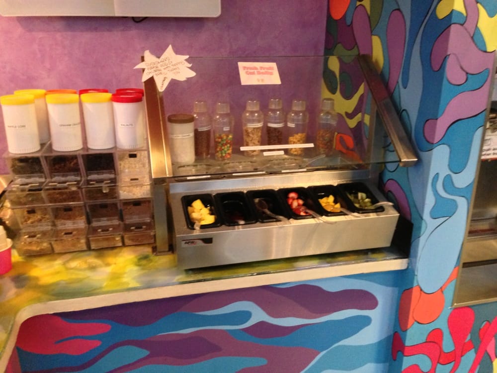 SKINNY MINNY’S FROZEN YOGURT CLOSED 15 Photos & 31 Reviews Ice