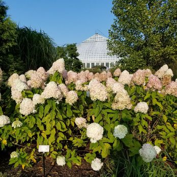 Garfield Park Conservatory - Parks Near Me - Chicago, Illinois