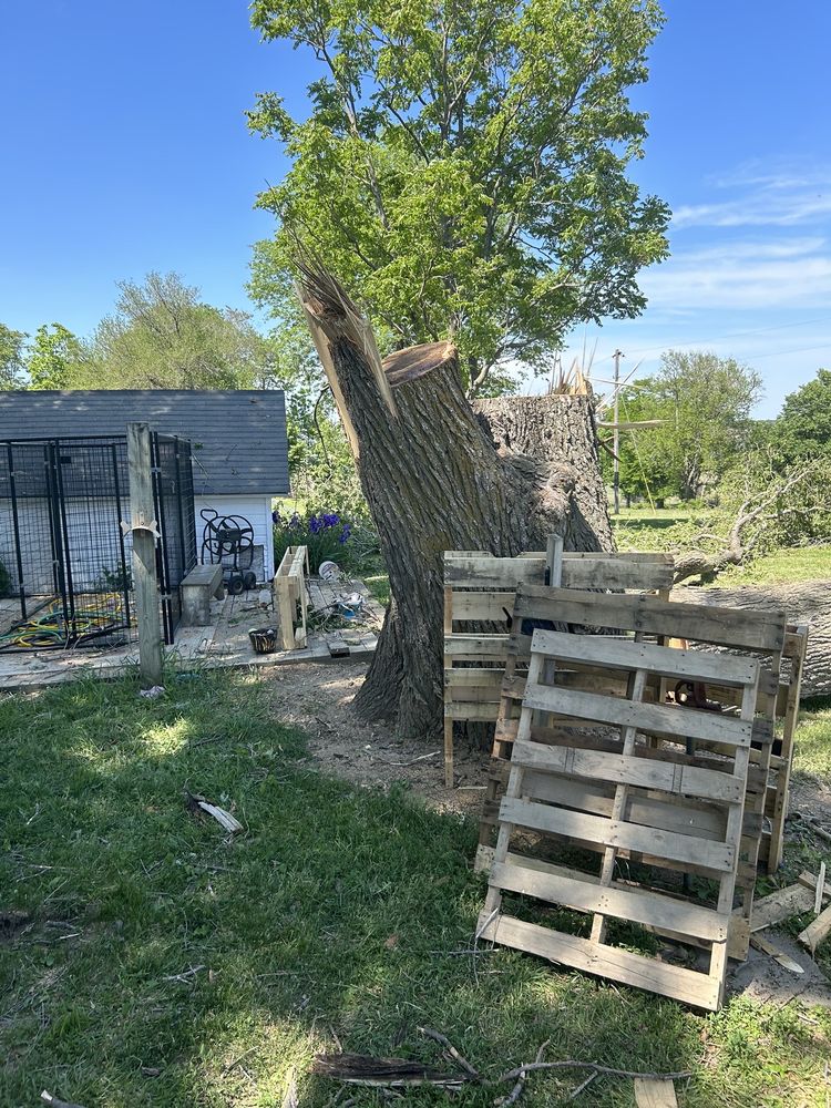 SIMPLY TREES Updated October 2024 1417 Plum St, Iowa City, Iowa