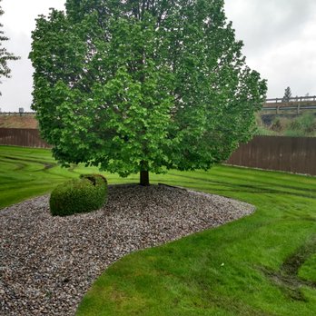 Keith's Lawn & Landscape - a tree in the middle of a garden - Landscaping Near Me - Spokane, Washington Keith's Lawn & Landscape - a tree in the middle of a garden - Landscaping Near Me - Spokane, Washington