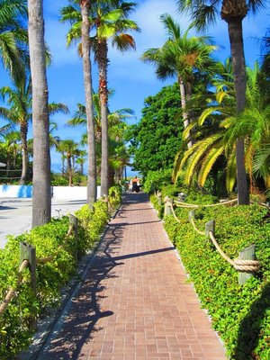 Tropical Beach Resorts by null