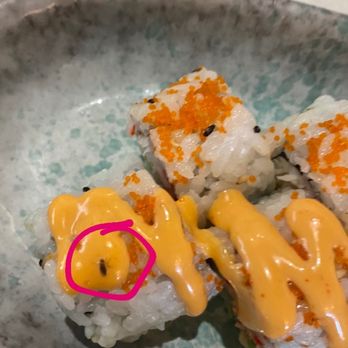 Eastern Peak - Roll Roll Combo - Asian Fusion Near Me - Nashville, Tennessee