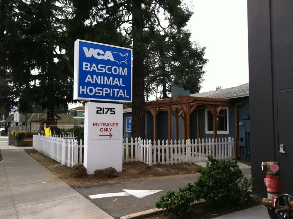 vca bascom