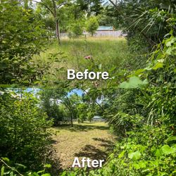 Coastal Lawn Services - Brush removal