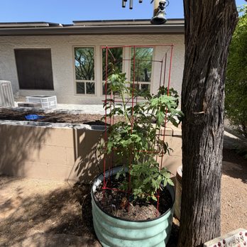 Moon Valley Nurseries - Nurseries & Gardening Near Me - Peoria, Arizona