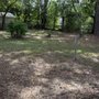 Photo of Jackie’s lawn service