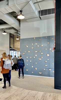 The Lane Ivy City by null