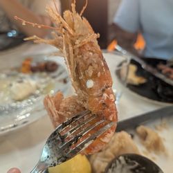 La Piazza - One of the extremely large prawns in our Ducal Grand Fry.