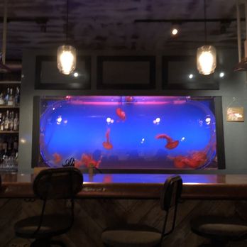 Lechon - Jellyfish aquarium - Tapas Bars Near Me - Portland, Oregon