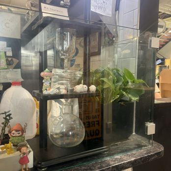 Little Cat - Cute little set up - Coffee & Tea Near Me - Columbus, Ohio Little Cat - Cute little set up - Coffee & Tea Near Me - Columbus, Ohio