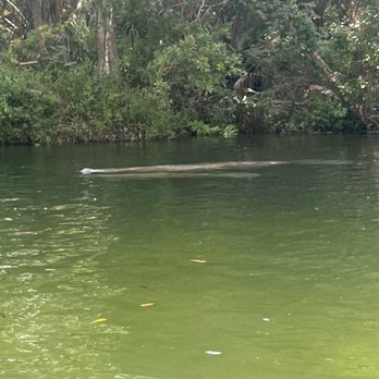 The Kayak Shack - Boating Near Me - Weeki Wachee, Florida The Kayak Shack - Boating Near Me - Weeki Wachee, Florida