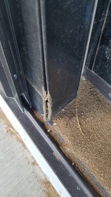 Andersen Windows by null